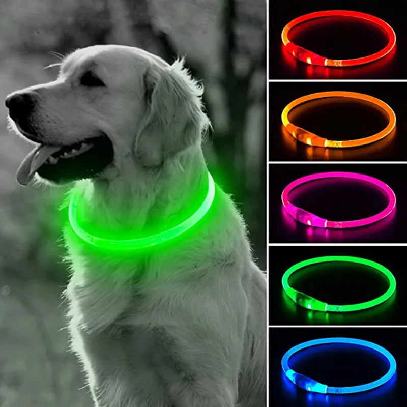 Glowing Dog Collar