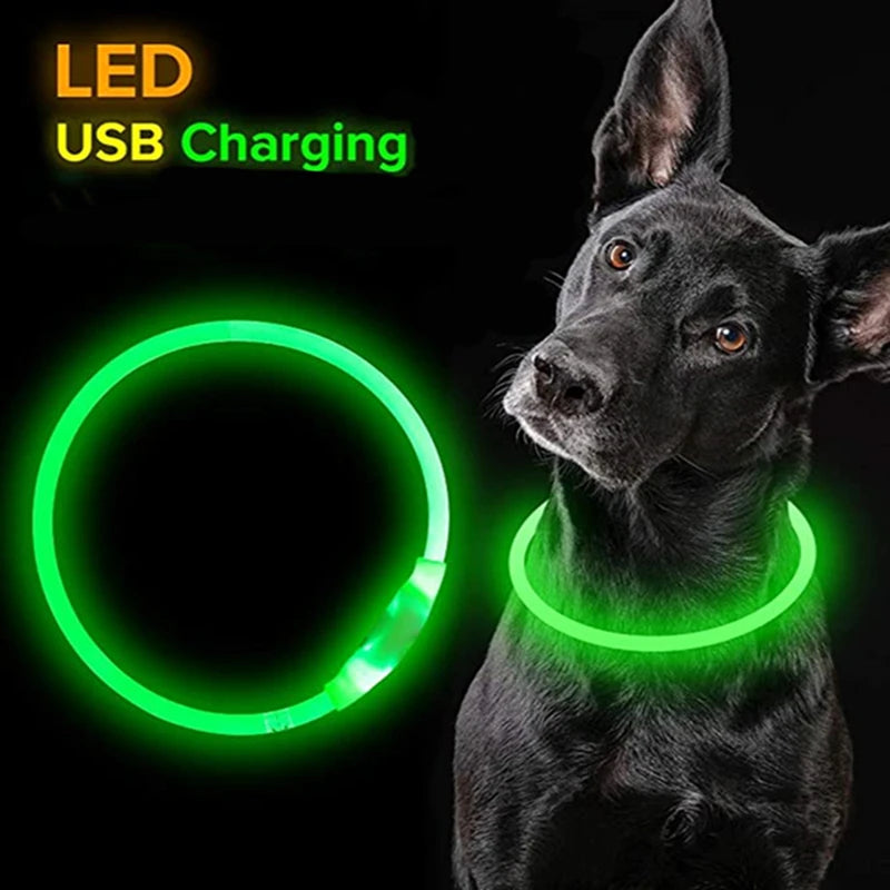 Glowing Dog Collar