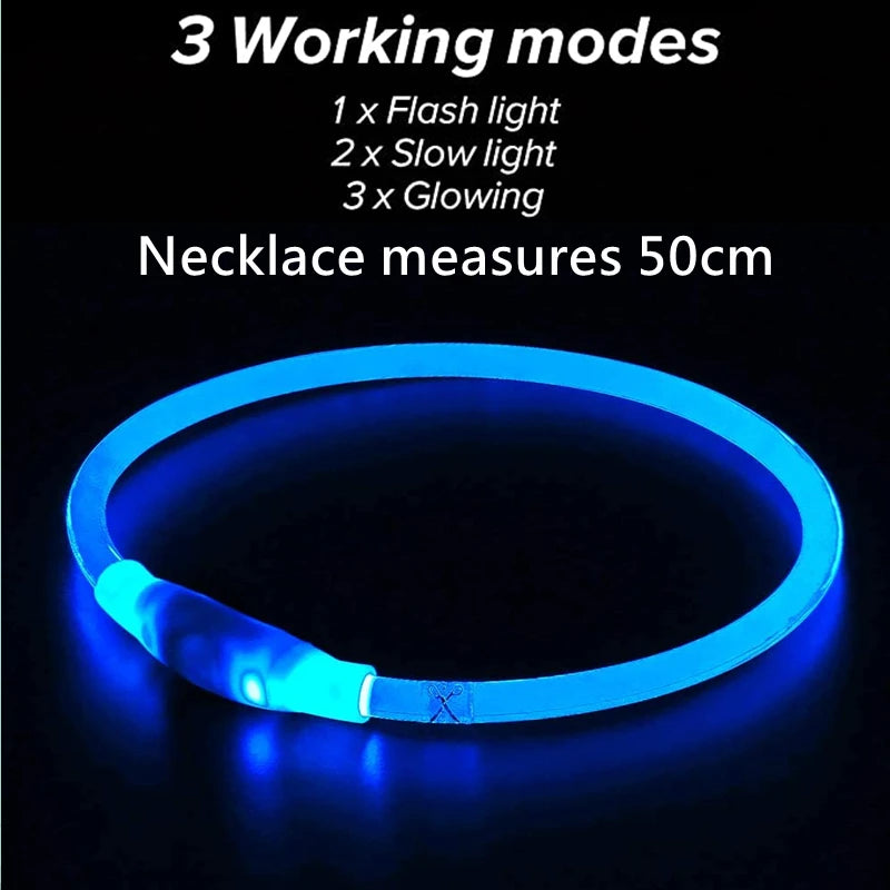 Glowing Dog Collar