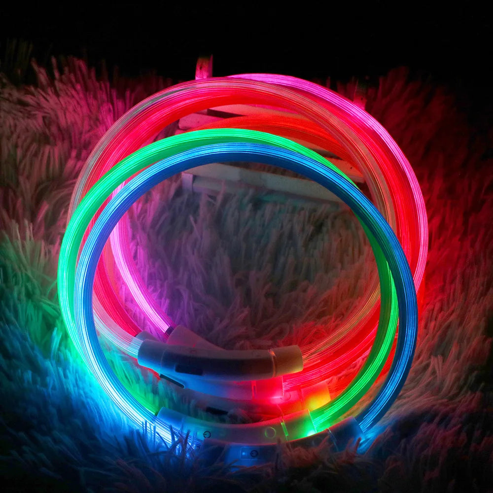 Glowing Dog Collar